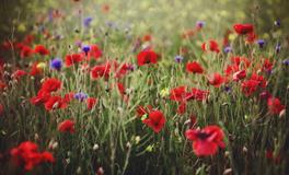 有经济头脑的三大星座，容易成为人生的大赢家！