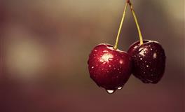 会做家务又能挣钱、走自己路的星座，生活有滋有味，人生更精彩