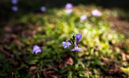 测出你独一无二的【恋爱优势】