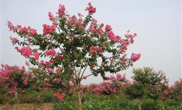 不论人长短，凡事留一线，修养好的三大星座