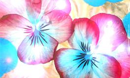 太理性了，什么事情都要讲道理，没有人情味的生肖