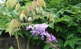 外表小萝莉，内心女汉子，这几个星座女，内外反差真的太大了！