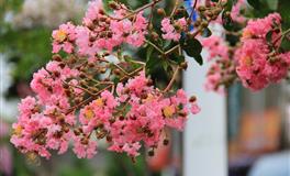 你所不知道的12生肖男的暧昧套路