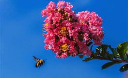 情商高能力强，帮夫运超旺的星座女