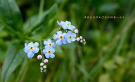 喜欢宠着老婆的三大星座，感情里充分的付出自己