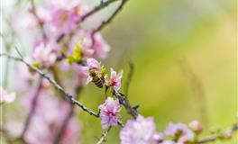 12星座的真实生活状态，12星座的出轨破绽