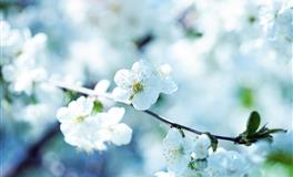 结婚最无法将就的三个星座，如果不是嫁给爱情，宁肯孤独一生