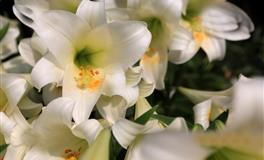 温柔体贴，最懂得疼老婆的几个星座男，遇见了就别放手！