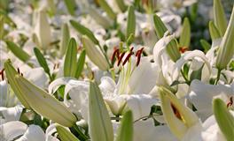 让人厌烦的三大星座女，越相处越讨厌，射手排第二