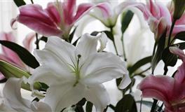 最会撩人的四大星座女，第一名一眨眼，就让男生为之沉醉