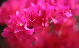 神叨酱心灵疗愈指引2022年4月29日