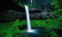 神叨酱心灵疗愈指引2022年5月12日