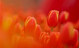 神叨酱心灵疗愈指引2022年5月21日