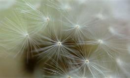 苏珊米勒每日运势2022年5月25日