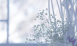 Alex巨蟹座一周运势（5.9-5.15）