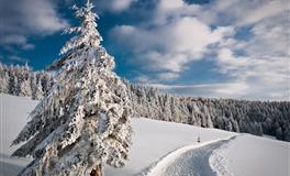 杀破狼狮子座一周运势(5.2-5.8)