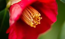 苏珊米勒每日运势2022年5月26日