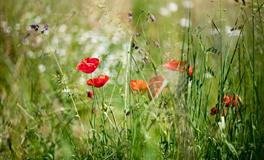 闹闹女巫店天蝎座一周运势(5.16-5.22)