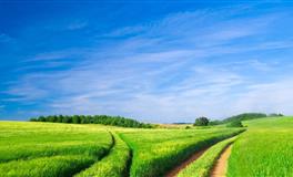 Alex处女座一周运势（5.30-6.5）