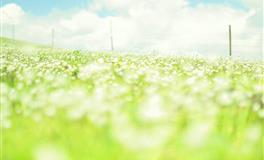 Alex处女座一周运势（5.16-5.22）