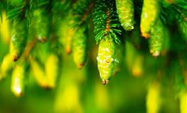 跌倒了不怕！ 【越爱越勇敢】的水象星座女