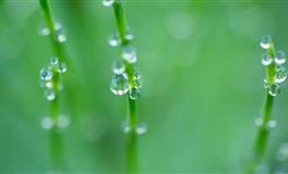 苏珊米勒2022年5月天蝎座运势完整版