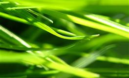 近期这几个星座的偏财运让人羡慕