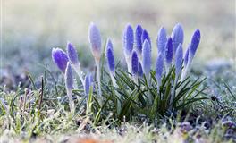 Alex水瓶座一周运势（5.30-6.5）