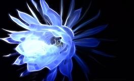 最令同性嫉妒的星座，太优秀了怎么办