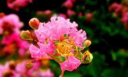 你最珍贵！越爱越勇敢的土象星座女