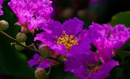 苏珊米勒每日运势2022年5月19日