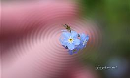 静电鱼双子座一周运势(5.16-5.22)