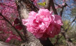 静电鱼射手座一周运势(5.2-5.8)