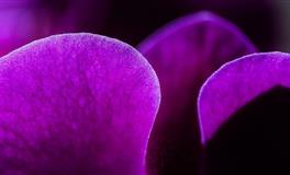 Alex天蝎座一周运势（5.23-5.29）