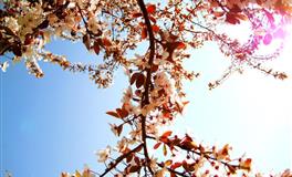 最“没心没肺”的三大星座女，即使失恋也很潇洒，不强求，不挽留