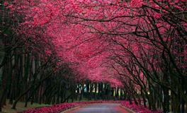 遇事冷静，能息事宁人的三个星座，化干戈为玉帛，有胸襟，大格局