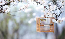 爱莎公主一周星座运势（6.20-6.26）