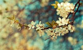 不爱纸上谈兵的三个星座，办事果敢，说干就干，不拖拉，行动派