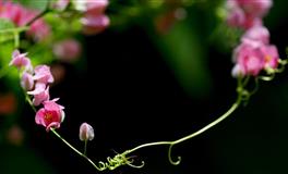 不是自己的错，绝不会道歉的星座，有骨气！