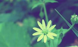 性格复杂又百变，难以被看透的星座