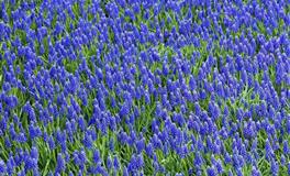 苏珊米勒每日运势2022年6月18-19日