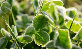 那些辞职之路最纠结的星座