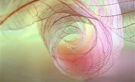 杨清华12生肖一周运势（6.13-6.19）