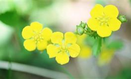 赖床女其实是个小女生，说的就是这些星座