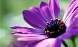 12星座网聊为啥喜欢发表情