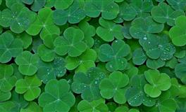 2022年6月最幸运的4个星座，喜事一波接一波！