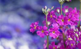 苏珊米勒每日运势2022年6月23日