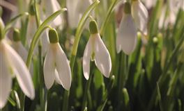 婚后最忠诚，嫁给这些生肖就像捡到宝