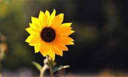 婚外情发生几率最高的血型男生