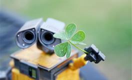 与这几大星座在一起，双鱼座会很幸福